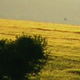 Illustration for article titled "I Touched A Crop-Circle-Making UFO," Says Investigator